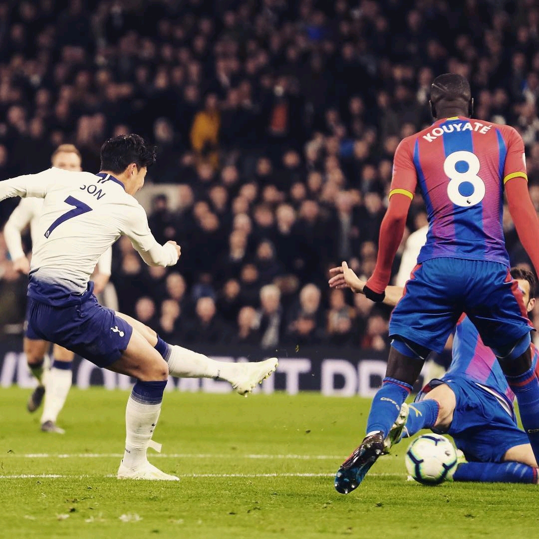 发挥为他们 发挥为他们