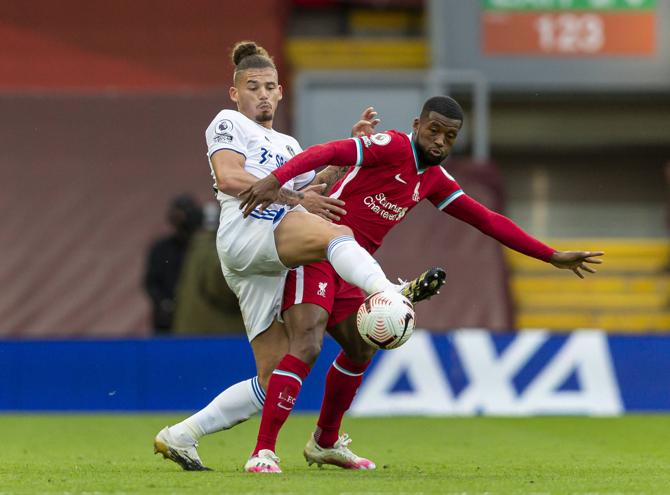 杜克施与米 杜克施与米